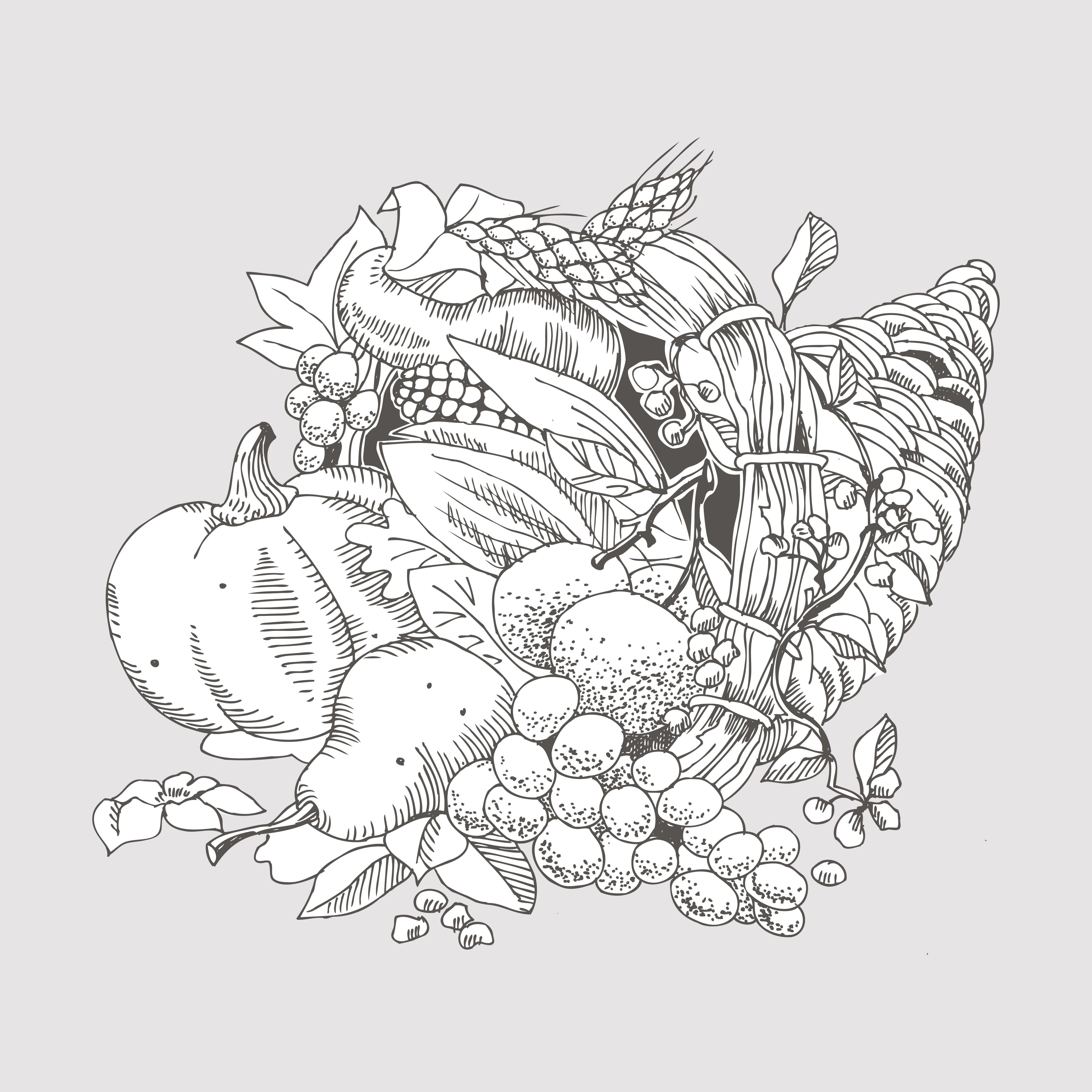 Charcuterie Board Sage Provisions